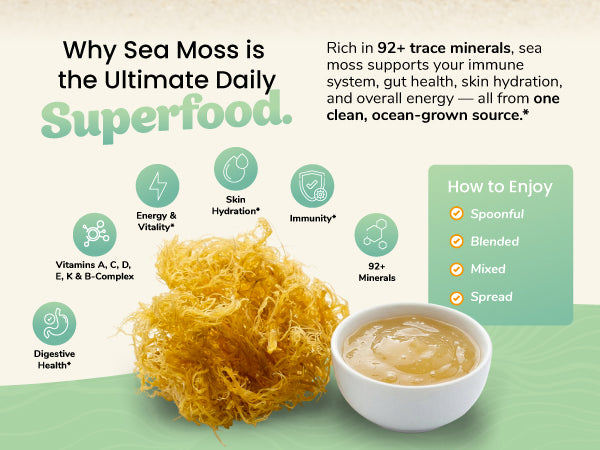 Tropical Sea Moss Gel 16oz | Wildcrafted & Vegan | Healthy Herbs Store