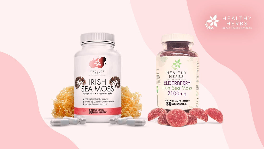 Sea Moss Gummies vs Capsules