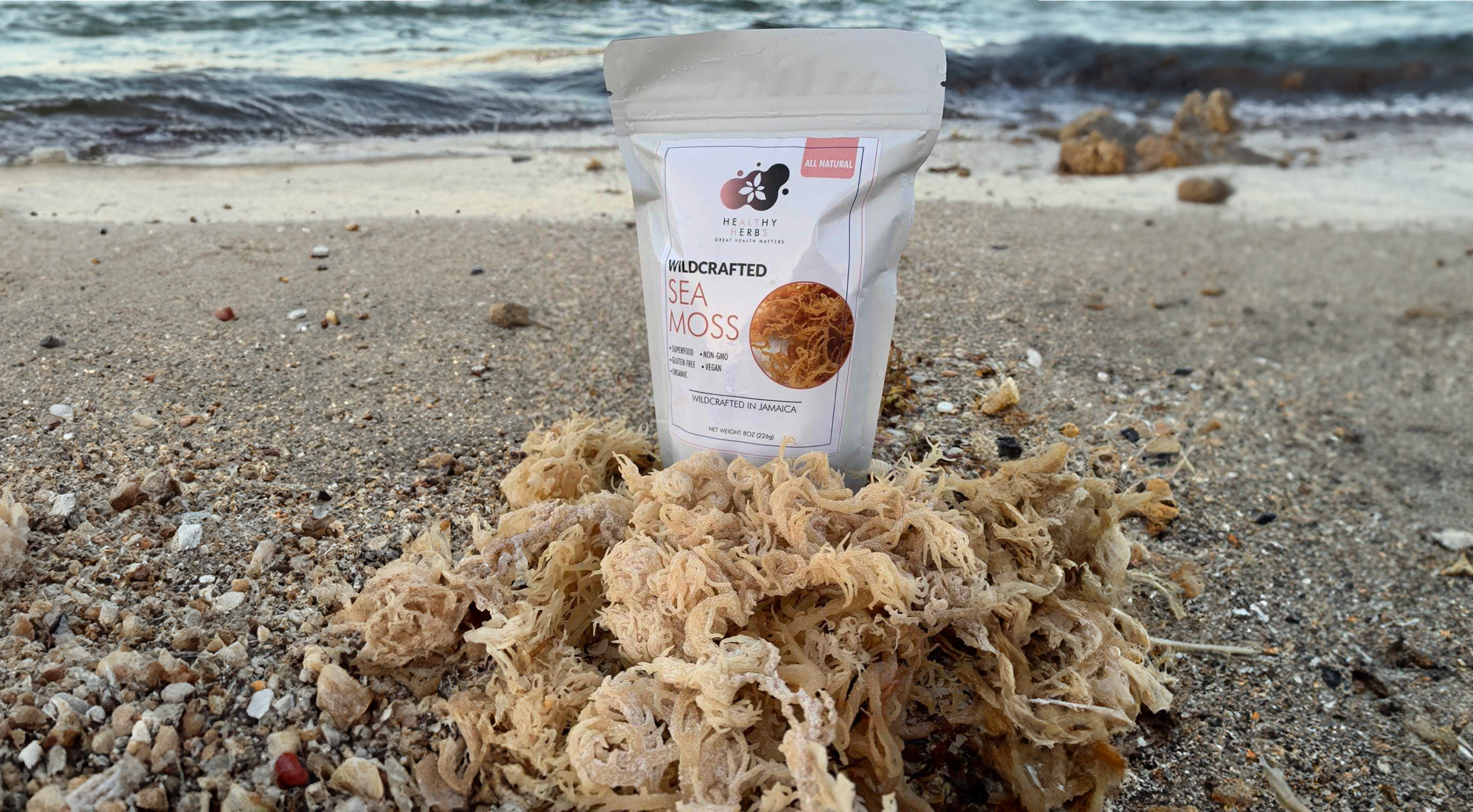 Unveiling The Astonishing Benefits Of Sea Moss Raw! – Healthy Herbs Store