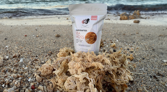 Healthy Herbs Store's 8oz bag of wildcrafted sea moss raw set on a beautiful sandy beach.