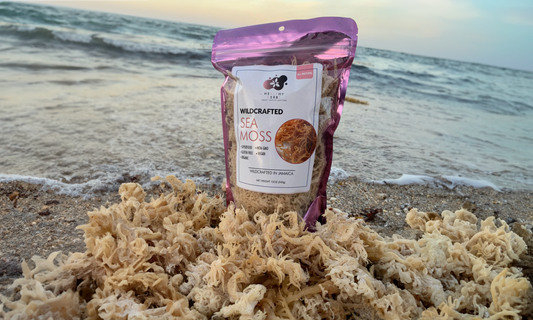 Healthy Herbs Store's 12oz bag of wildcrafted sea moss raw surrounded by waves on a sandy beach.