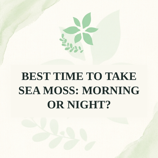 Best Time to Take Sea Moss: Morning or Night?