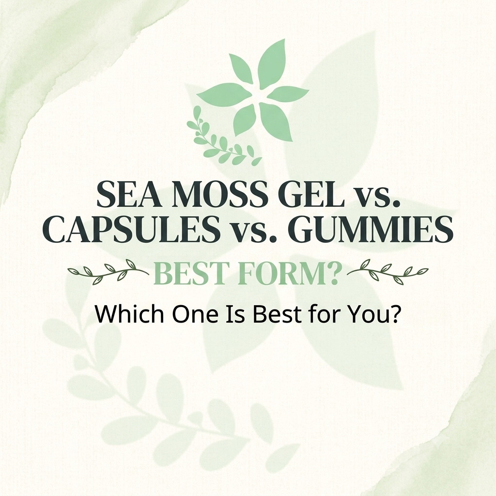 Sea Moss Gel vs. Capsules vs. Gummies: Which Form Is Best?