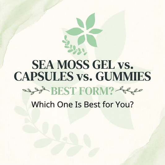 Sea Moss Gel vs. Capsules vs. Gummies: Which Form Is Best?