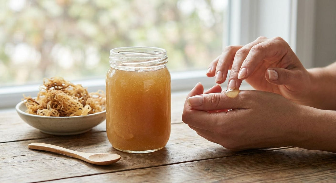 Sea moss gel for nail strength support