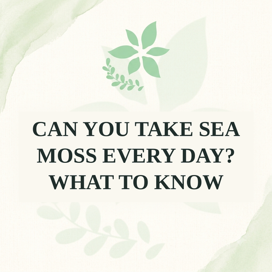 Can You Take Sea Moss Every Day? What to Know