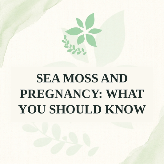 Sea Moss and Pregnancy: What You Should Know