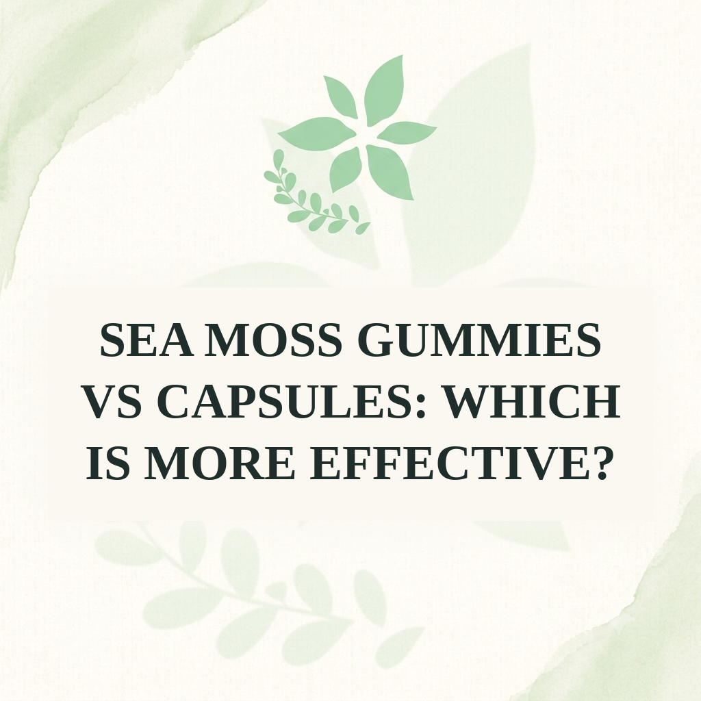 Sea Moss Gummies vs Capsules: Which Is More Effective?