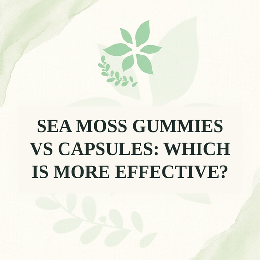 Sea Moss Gummies vs Capsules: Which Is More Effective?
