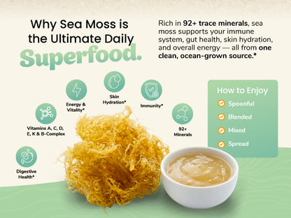 Tropical Sea Moss Gel 16oz | Wildcrafted & Vegan | Healthy Herbs Store