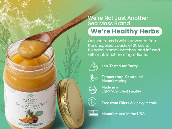 Tropical Sea Moss Gel 16oz | Wildcrafted & Vegan | Healthy Herbs Store