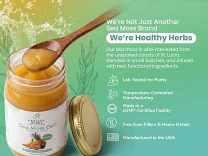 Tropical Sea Moss Gel 16oz | Wildcrafted & Vegan | Healthy Herbs Store