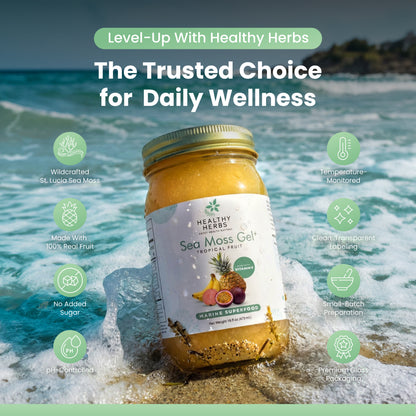 Tropical Sea Moss Gel 16oz | Wildcrafted & Vegan | Healthy Herbs Store
