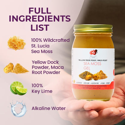 Healthy Herbs | Sea Moss Gel with Yellow Dock and Maca Root (16 oz)